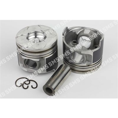 PISTON + PIN (Common Rail 46.20mm  Bowl dia) 0.50mm