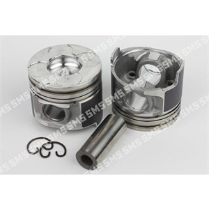 PISTON + PIN (Common Rail 46.20mm  Bowl dia) Premium Std