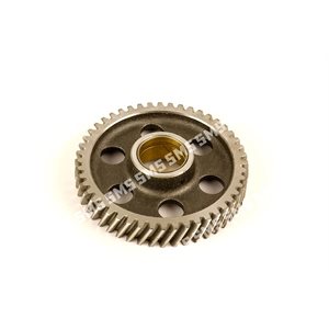 GEAR Idler (Includes Bush)