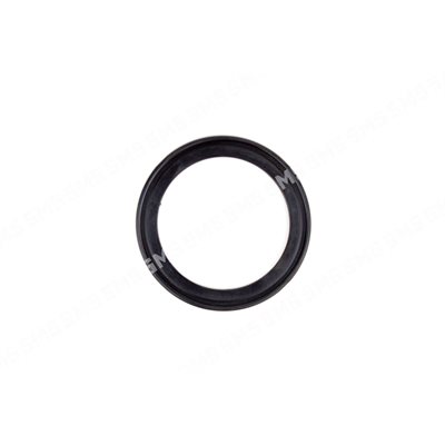 GASKET Thermostat