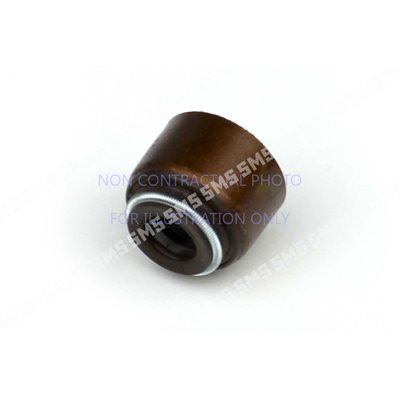 SEAL Valve Stem