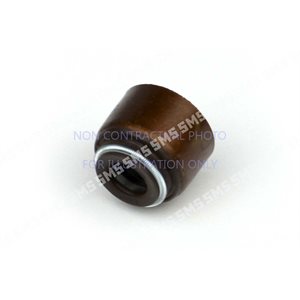 SEAL Valve Stem