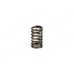 VALVE SPRING