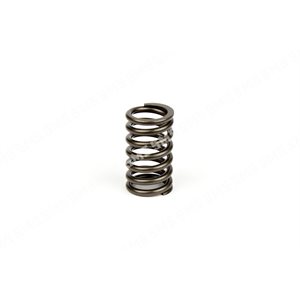 VALVE SPRING