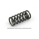 VALVE SPRING