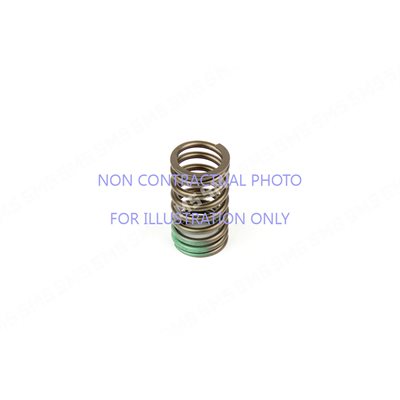 VALVE SPRING