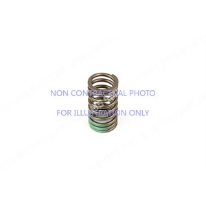 VALVE SPRING