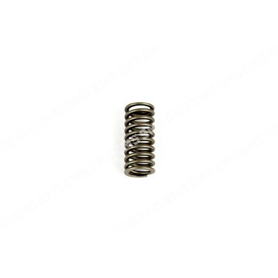 VALVE SPRING