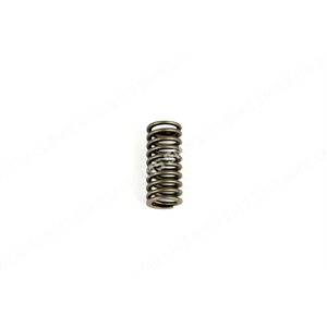 VALVE SPRING