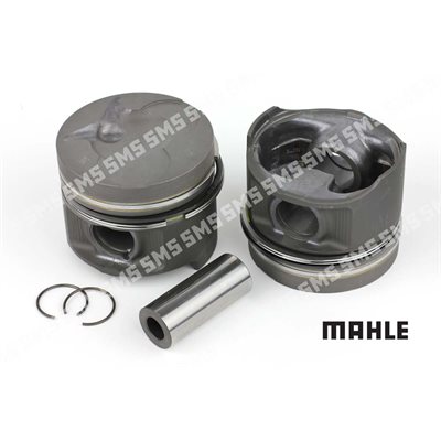 PISTON ASSY 0.50mm