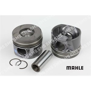 PISTON ASSY 90hp & 110hp 0.50mm