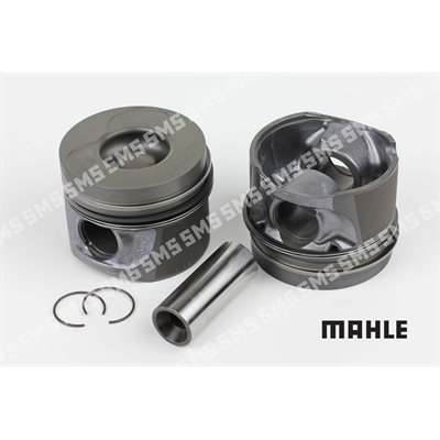 PISTON ASSY 0.50mm