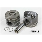 PISTON Assembly 0.50mm