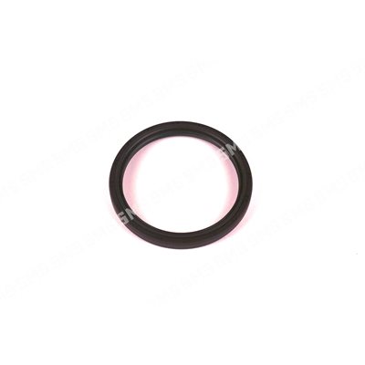 OIL SEAL Rear Main (genuine)