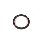 OIL SEAL Rear Main (genuine)