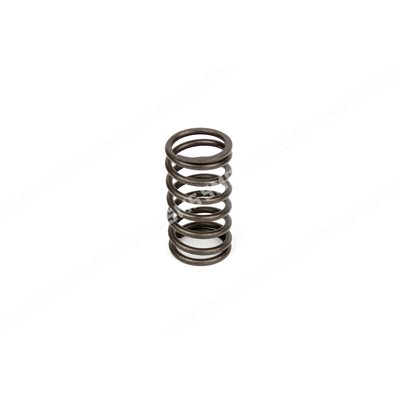 VALVE SPRING Inner