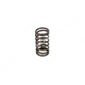 VALVE SPRING Inner