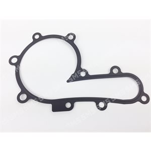 GASKET Water Pump