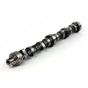 CAMSHAFT (3 bearing type)