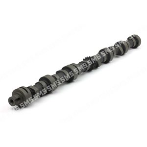 CAMSHAFT (Roller Type)