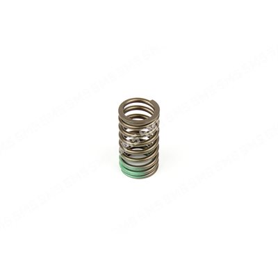 VALVE SPRING Outer (parallel)