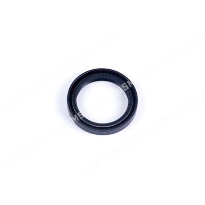 OIL SEAL Rear Main (early type)