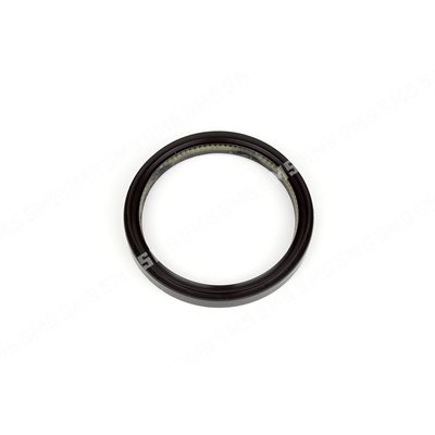 OIL SEAL Rear Main 100x120x13