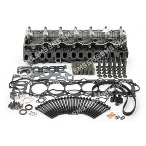 CYLINDER HEAD KIT (Bare GENUINE Head) with valves