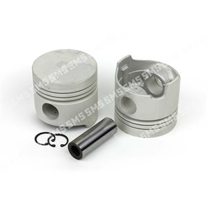 PISTON + PIN 0.50mm