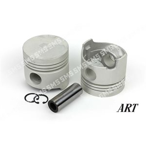 PISTON + PIN Premium 0.50mm