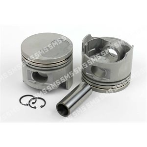 PISTON + PIN 0.50mm