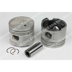 PISTON + PIN 0.50mm