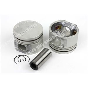 PISTON + PIN  Std