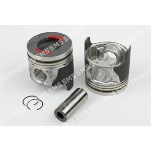 PISTON + PIN 0.50mm