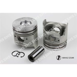 PISTON + PIN (Gallery cooled) Premium