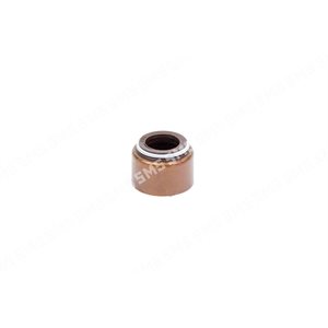 SEAL Valve Stem