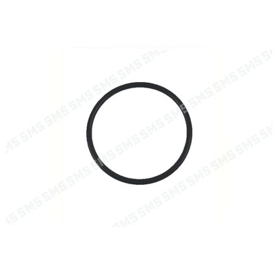 O RING Timing Cover