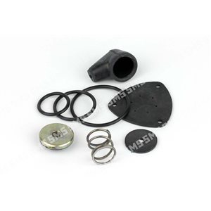 PURGE VALVE KIT