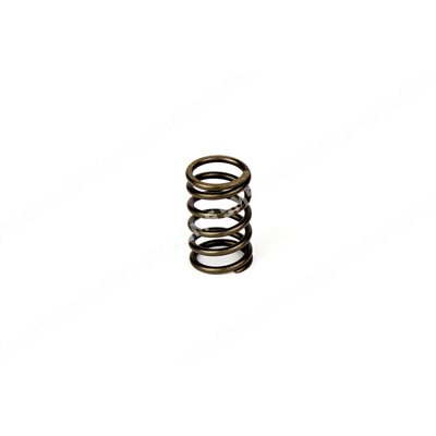 VALVE SPRING