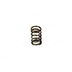 VALVE SPRING